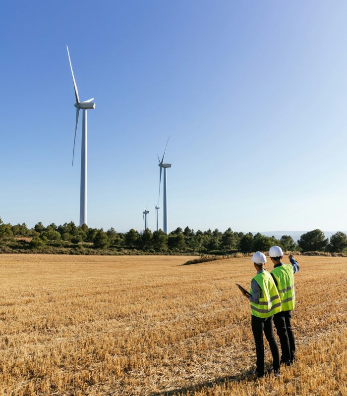 Engineers supervising wind turbine field.